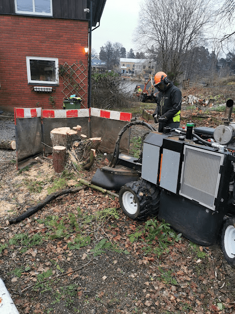 Stubbfräsning Stockholm
